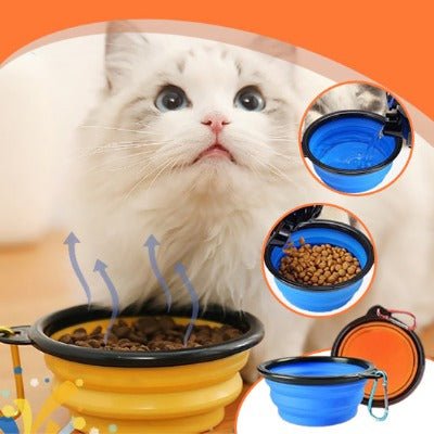 gamelle-anti-glouton-chat