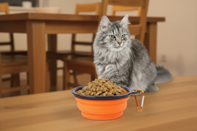 gamelle -anti-glouton-chat pliable  - Calinours Chats