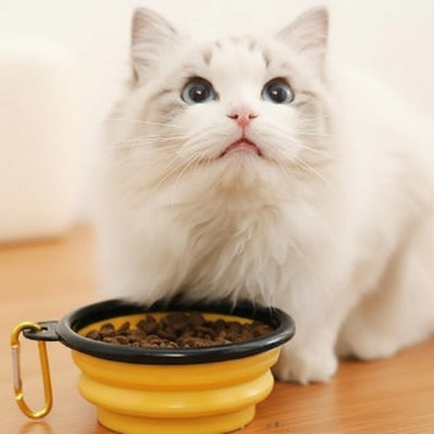 gamelle-anti-glouton-chat
