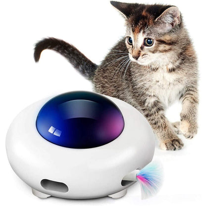 InteractivMinou™ - Jouet interactif pour chat - Calinours Chats